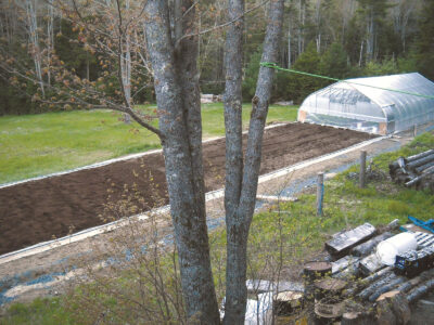High Tunnel Farming Image